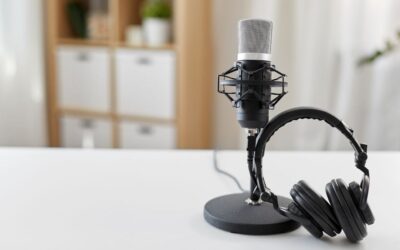 How Do You Anonymise Voice Samples?